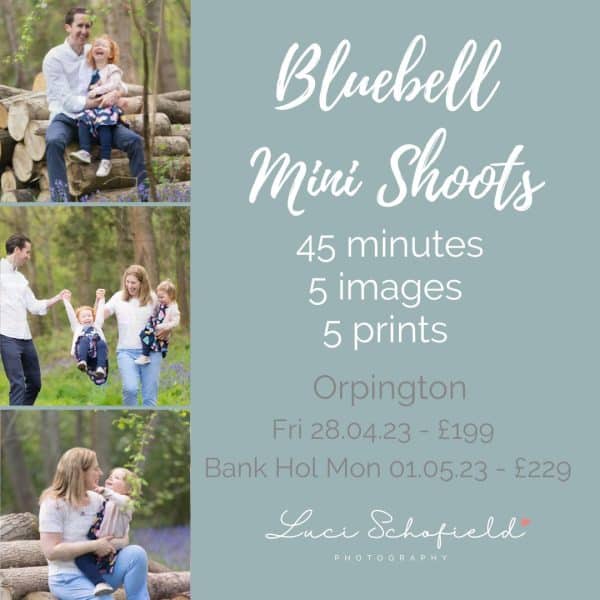 Bluebell family mini photo shoots in Orpington